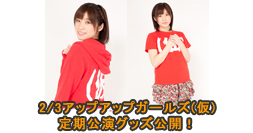 2/3�A�b�v�A�b�v�K�[���Y(��)��������O�b�Y���J�I